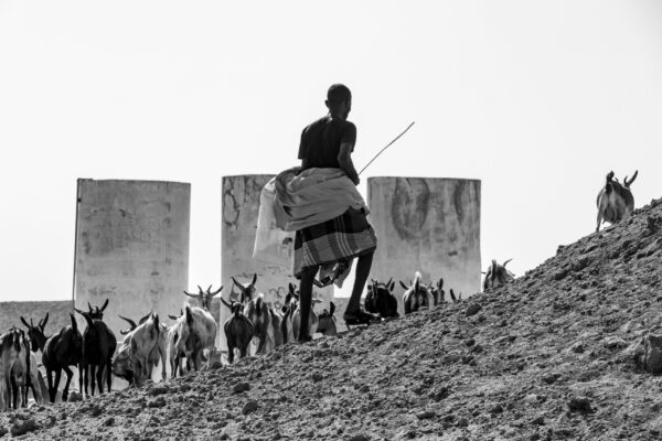 Tales of the Djibouti By Camille Massida